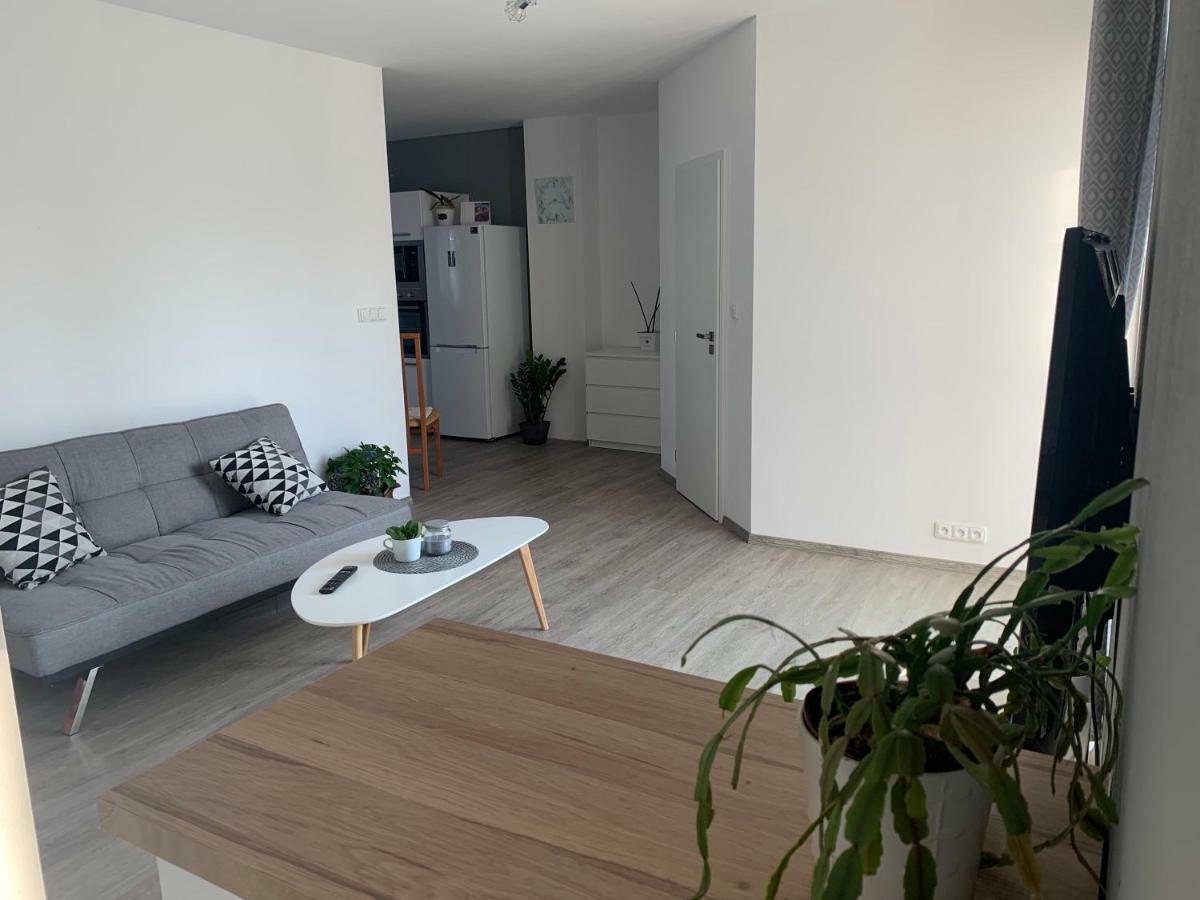 Tolarova Apartman Pardubice Eksteriør bilde